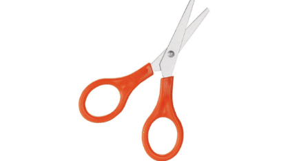 Scissors Budget - Small