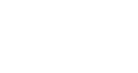 Vertice Data & Software Solutions (Pty) Ltd
