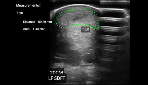 Clarius Package, L7VET Scanner, HD - Previous Gen Scanner