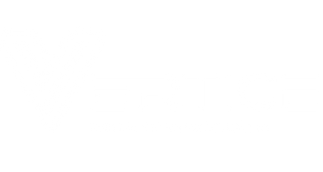 Vertice Data & Software Solutions (Pty) Ltd 